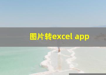 图片转excel app